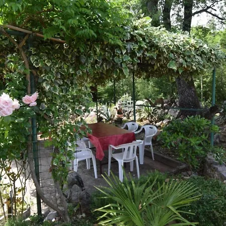 Jozefina - Barbecue *